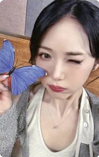 正一 ms 1.0線上 蝴蝶 簽售卡 