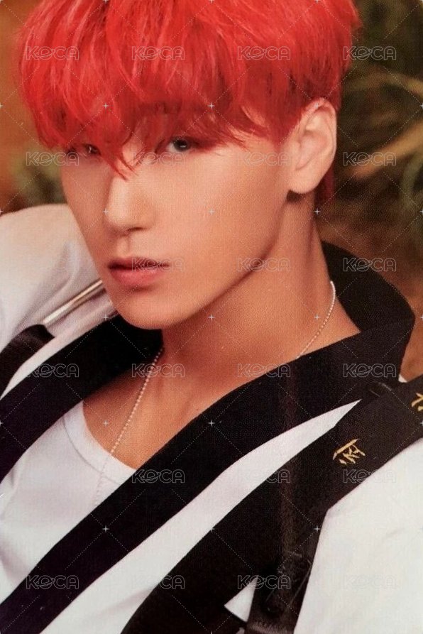 WILL 專輯卡 A ver. Z 正面