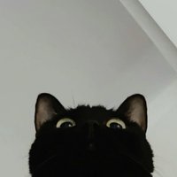 帶走我的卡吧🥲🥲