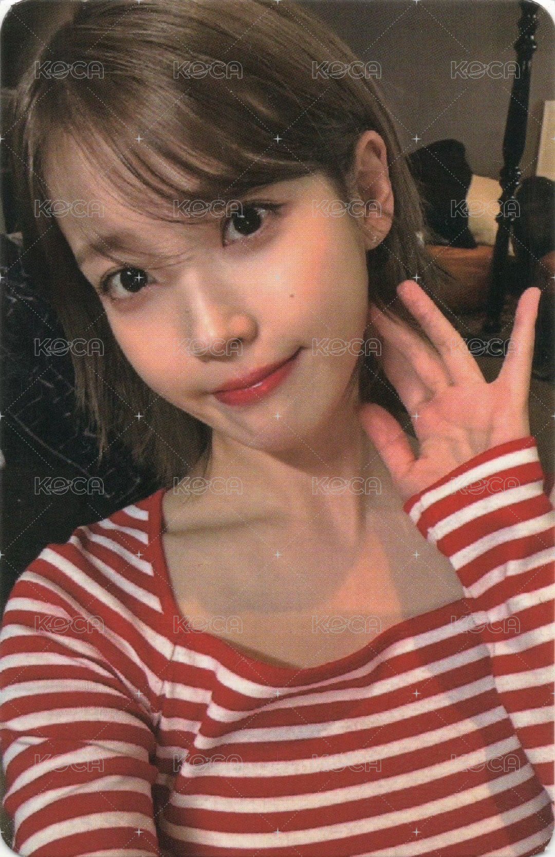 24’演唱會 入場卡 / 場限卡 臺北0406.07、曼谷0629 正面