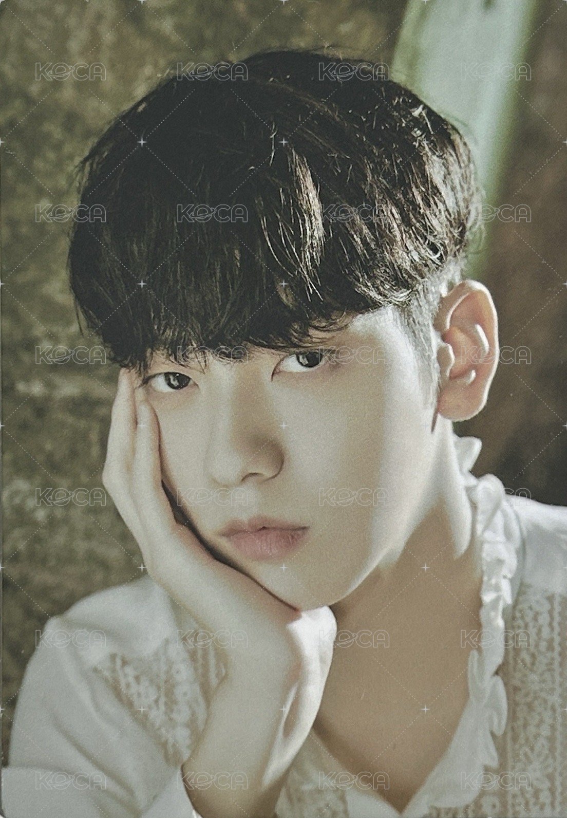 22’巡迴 隨機卡 隨機卡02 正面