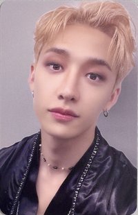 DICON D'FESTA 雜誌卡 