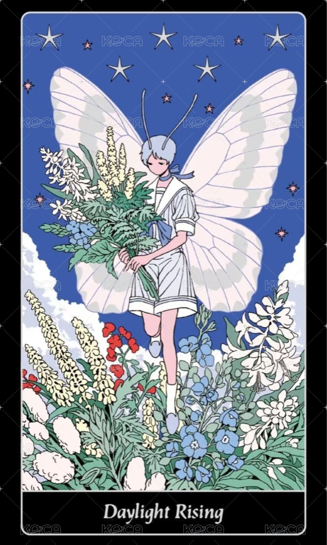 正四 專輯卡 塔羅牌/神諭卡 Daylight Rising 正面
