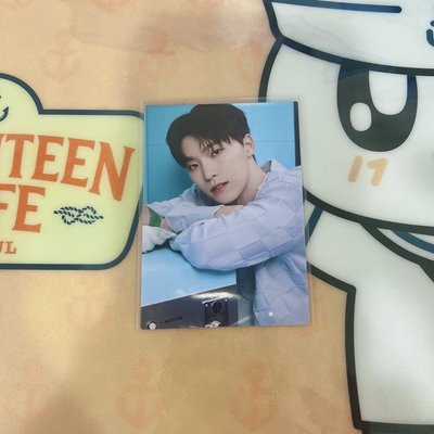 SEVENTEEN DINO HOME 卡包卡