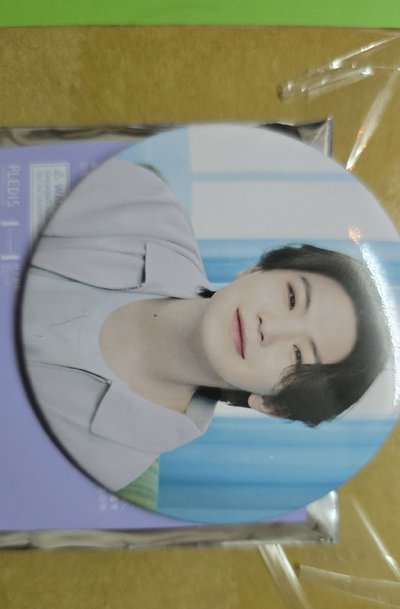 2024 home徽章 woozi