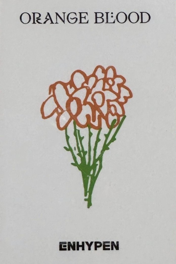 迷五 yzy 特典卡  背面