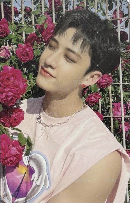 MAXIDENT bdm 特典卡  正面