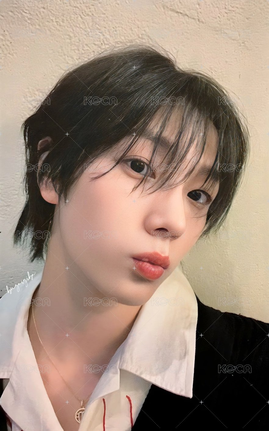 WHO! wvs 預售 特典卡  正面