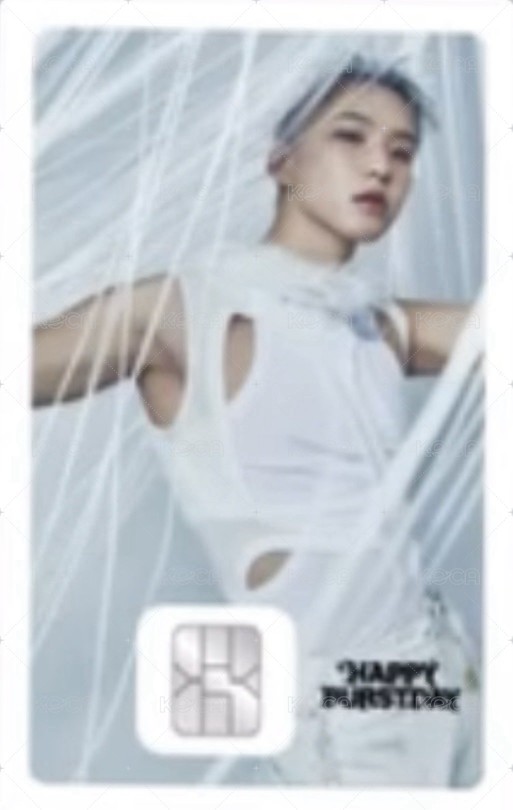 10週年 交通卡  正面