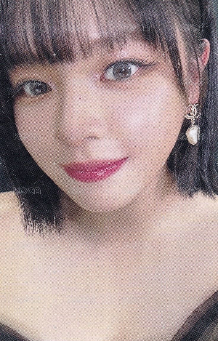 23’ 五巡 演唱會 DVD / CD 卡 日巡特別DVD ver. 正面