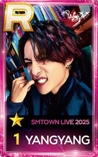 2025smt 遊戲卡 YANGYANG