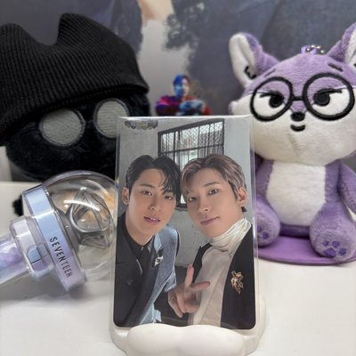 🐈‍⬛圓佑WONWOO｜🐶玟奎MINGYU｜DISCON｜玟佑雜誌｜雙人卡 ｜UNIT-TYPE｜D社