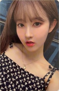 1st FM   周邊卡 掛布蒽