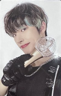 THE FELLOWSHIP : BREAK THE WALL 入場卡 / 場限卡 