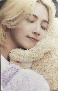 21‘DICON 周邊卡 