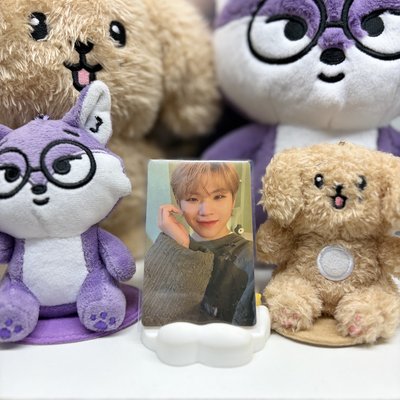 🍚知勳WOOZI｜MINI9｜專輯卡｜CARAT ver.｜嗚啊嘿