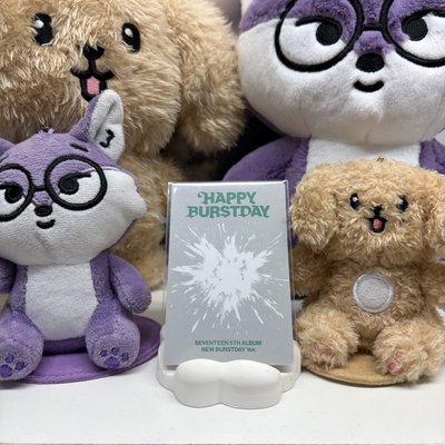 🍚知勳WOOZI｜正五｜專輯卡｜正規五｜NEW BURSTDAY ver.｜嗚啊嘿