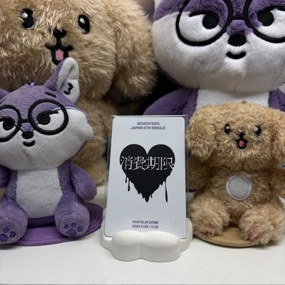 🐶玟奎MINGYU｜消費期限｜wvs｜愛知｜入場卡 / 場限卡 