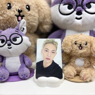 🐶玟奎MINGYU｜10週年｜集章卡｜十週年集章卡