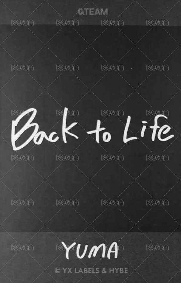 BTL 隨機卡 快閃店-拍立得 背面