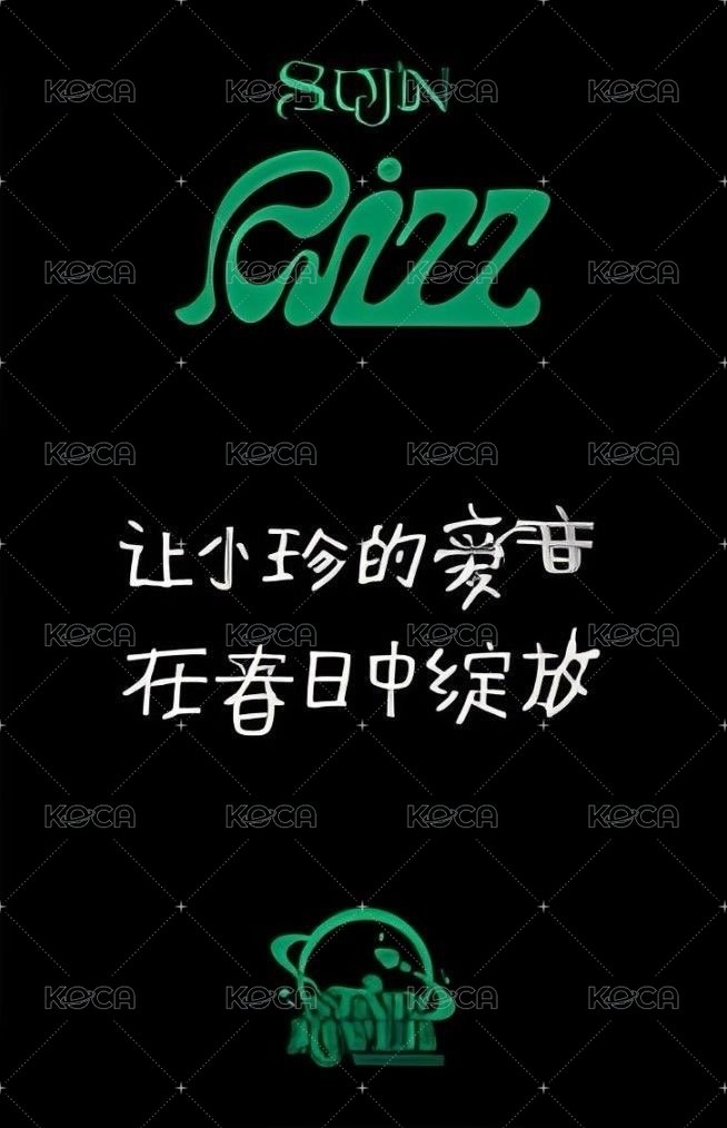 RIZZ sr 預售 特典卡 哈利波特 背面