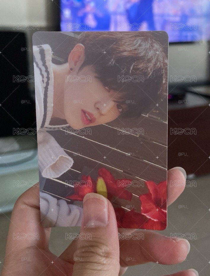 seventeen/scoups/崔勝哲/正二白哲 