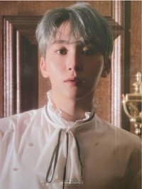 SOCIAL CLUB 明信片 檔案卡