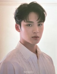 SOCIAL CLUB 明信片 檔案卡