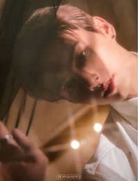 SOCIAL CLUB 明信片 檔案卡