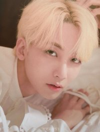 SOCIAL CLUB 明信片 檔案卡