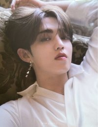 SOCIAL CLUB 明信片 檔案卡