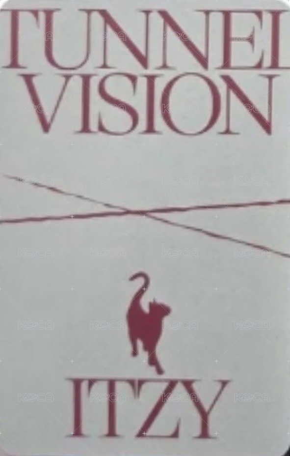 TNVS 快閃店 隨機卡  背面