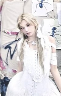 TNVS 快閃店 隨機卡 