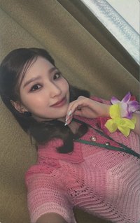 STW 專輯卡 WVS ver.