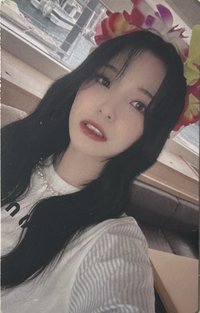 STW 專輯卡 WVS ver.