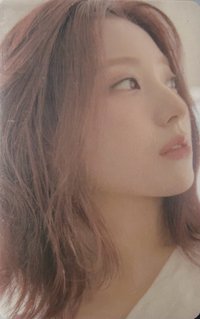 STW 專輯卡 WVS ver.