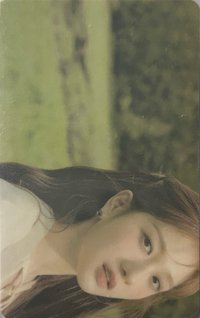 STW 專輯卡 WVS ver.