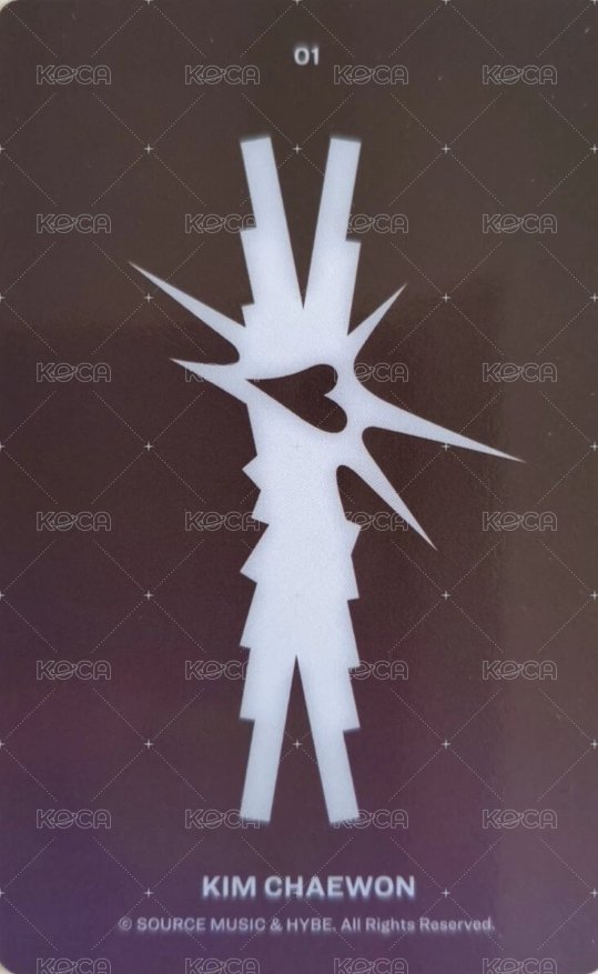 CRAZY 隨機卡  背面