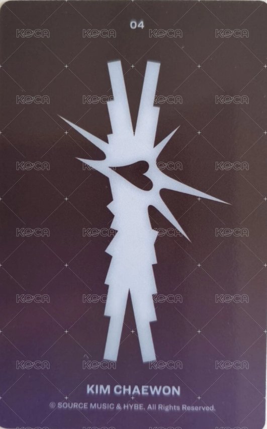 CRAZY 隨機卡  背面