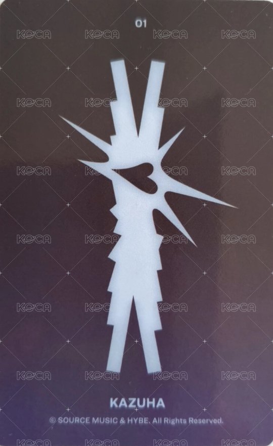 CRAZY 隨機卡  背面