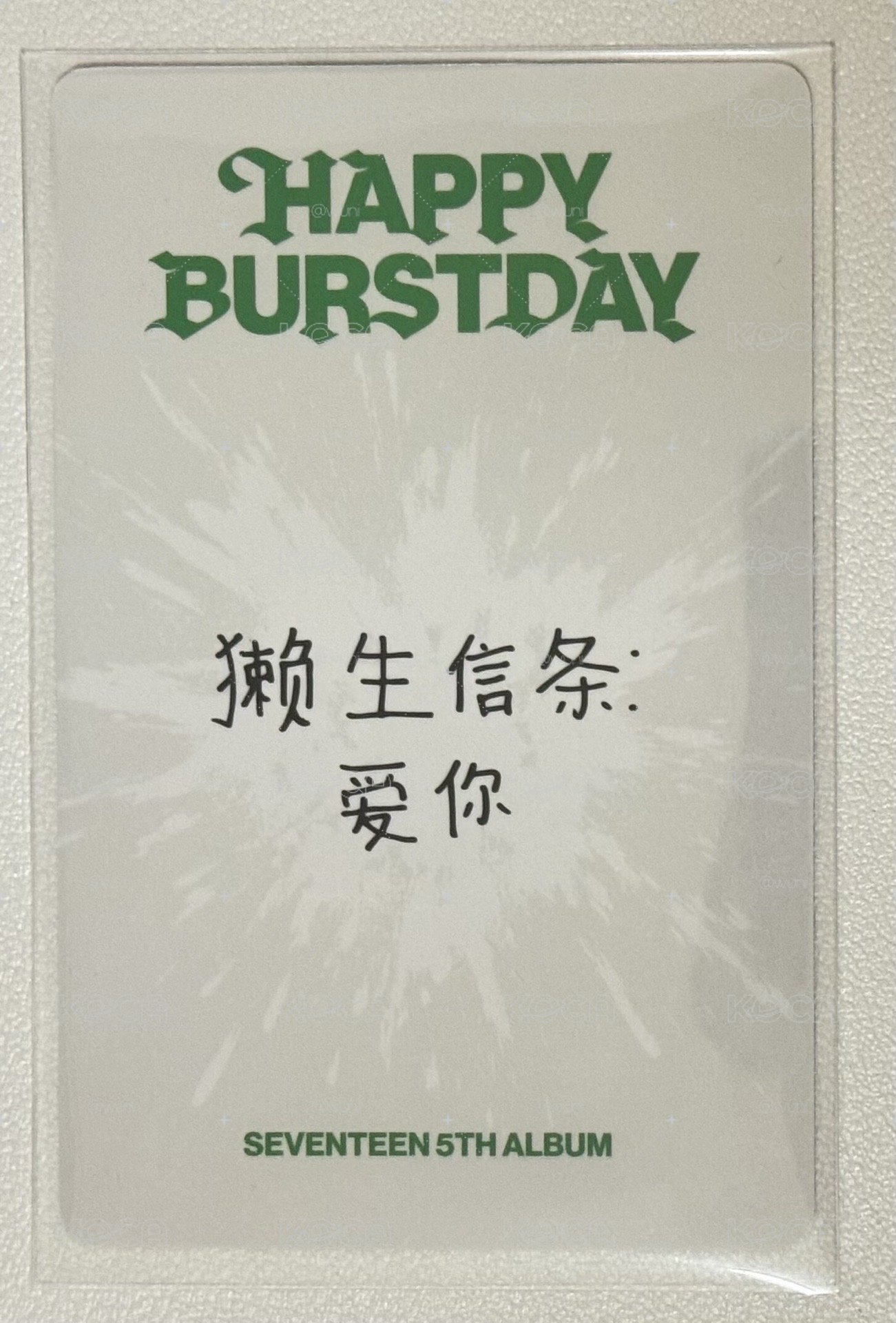 正規五 燦中背