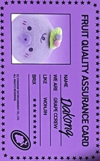 DtC : E 專輯卡 Grape Ccrew 水果品質保證卡