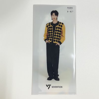 SEVENTEEN FOLLOW JP 明信片 票卡夾 THE 8