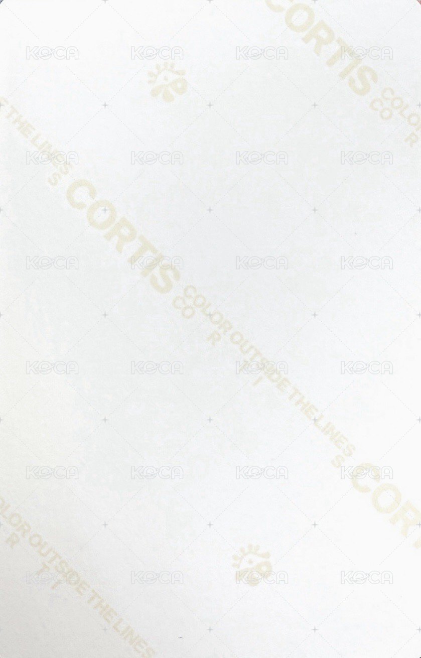 迷一 wvs 專輯卡 電子專 B ver. 背面