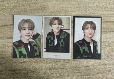 SEVENTEEN 24克拉島 秀卡