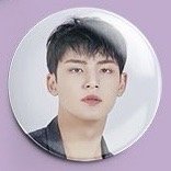 20‘克拉島 徽章 