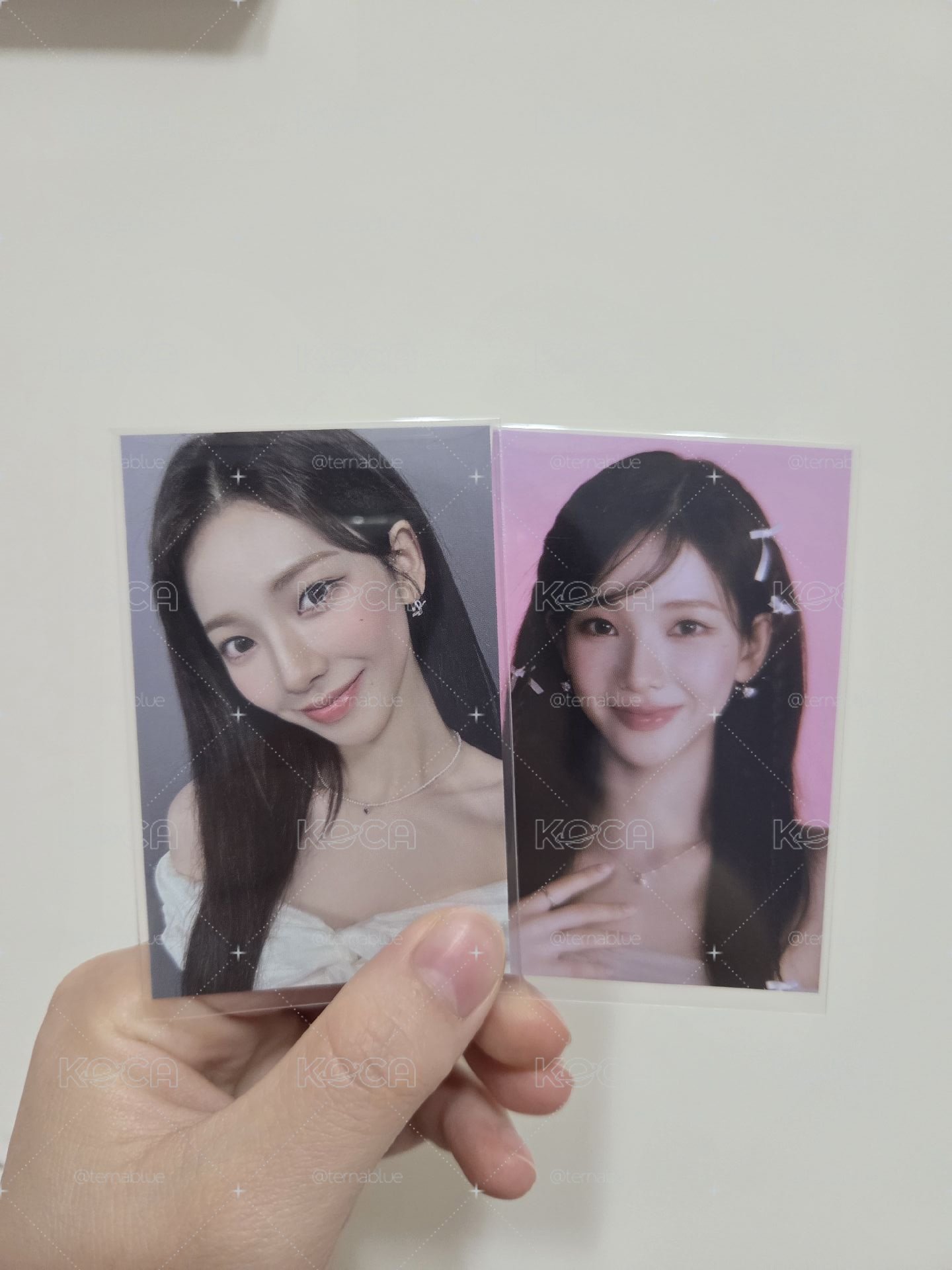 展會隨機卡