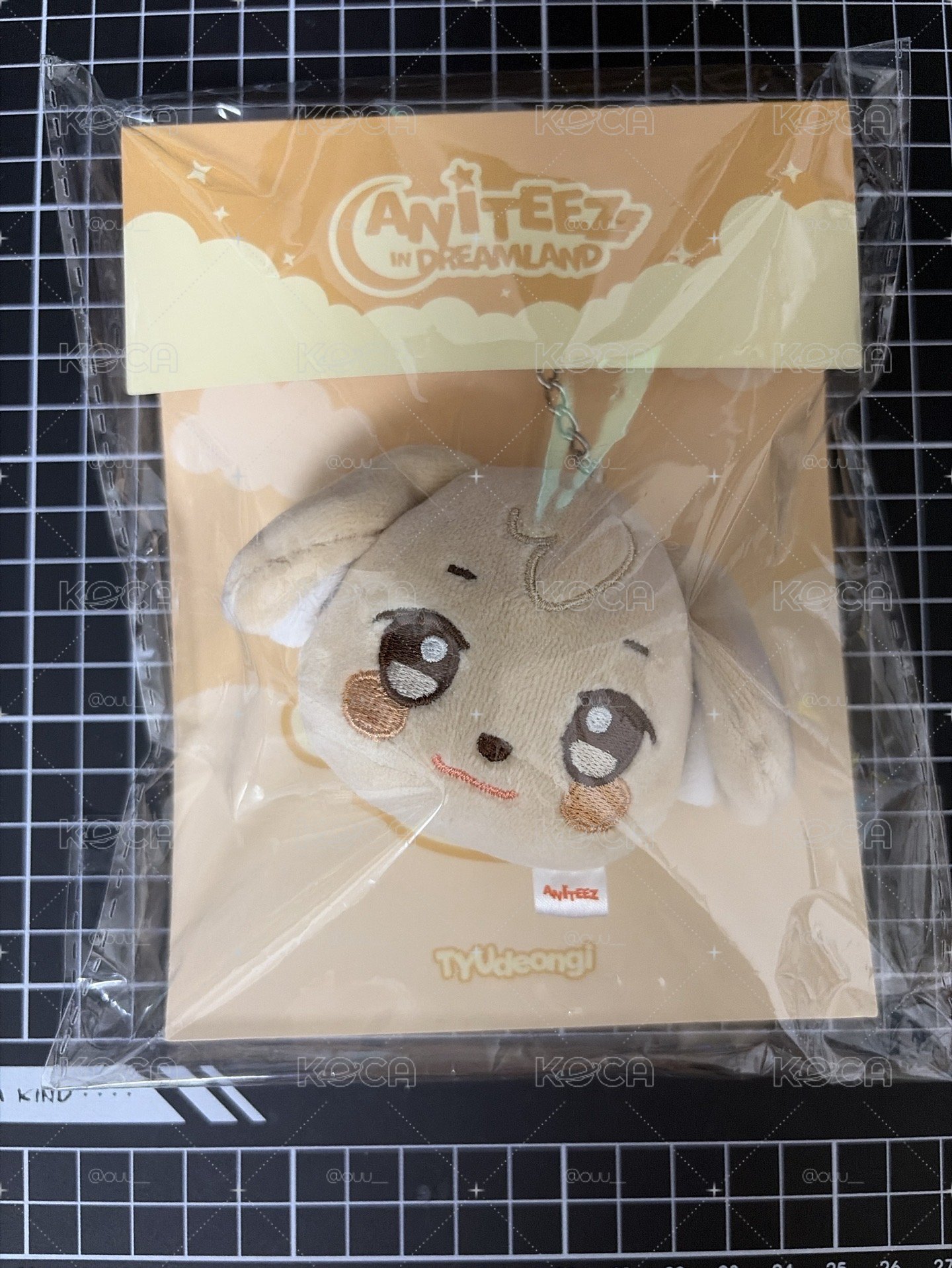 Aniteez in dreamland 突咚尼大頭吊飾
