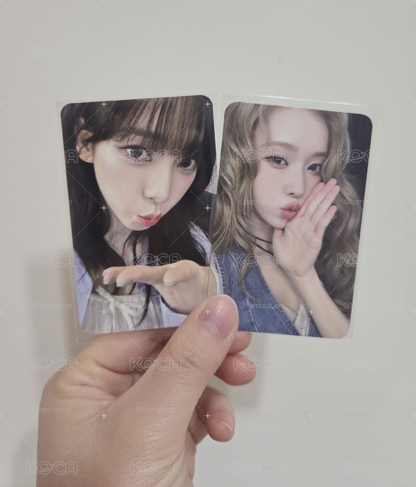蛋糕冬／柚
