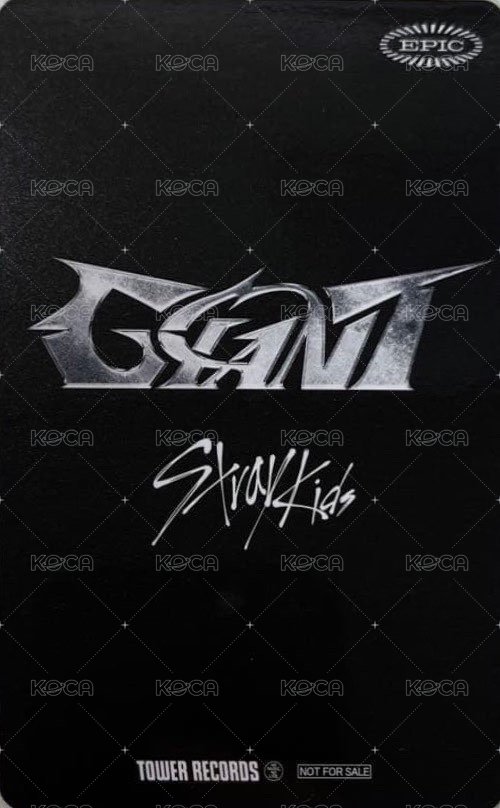 GIANT 塔店 特典卡  背面